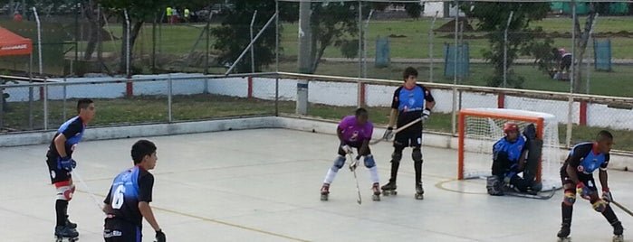 Cancha Panamericana De Hockey S.P is one of World Games 2013 (Juegos Mundiales).