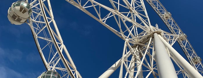 Melbourne Star Observation Wheel is one of Australia.