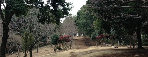 かしの木山自然公園 is one of 町田・相模原散策♪.