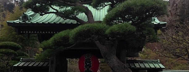 長谷寺 is one of 江の島〜鎌倉〜葉山ポタ♪.