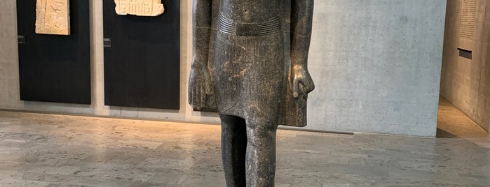 Staatliches Museum Ägyptischer Kunst is one of Lugares favoritos de Ionela.