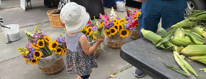 Church Square Park Farmer’s Market is one of Tempat yang Disukai Carolyn.