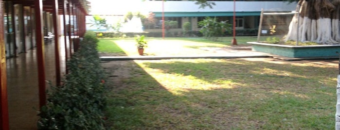 Instituto de Estudios Superiores de Chiapas is one of Adán : понравившиеся места.