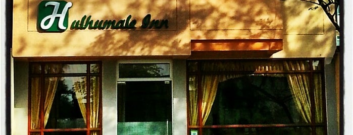 Hulhumale' Inn is one of Hotels in Male' City.