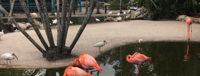 Flamingo Gardens is one of Lieux qui ont plu à Consta.