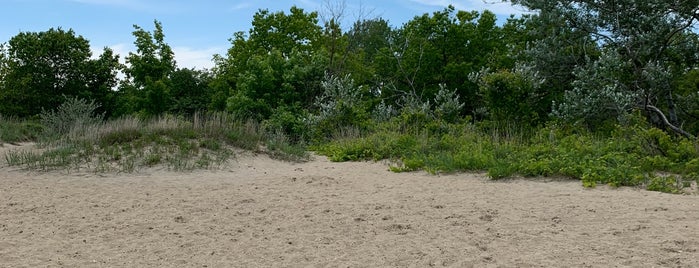 Illinois Beach State Park is one of Illinois State Parks.