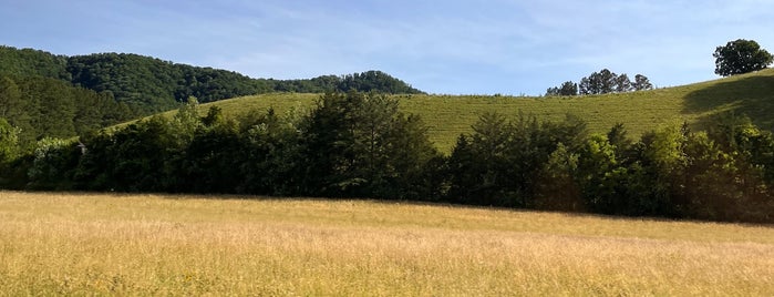 Legacy Mountain is one of Cabins.