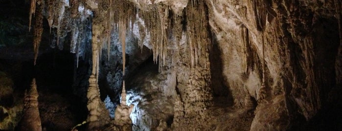 Carlsbad Caverns National Park is one of New Mexico.