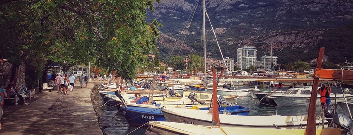 Marina Budva is one of Locais curtidos por A.