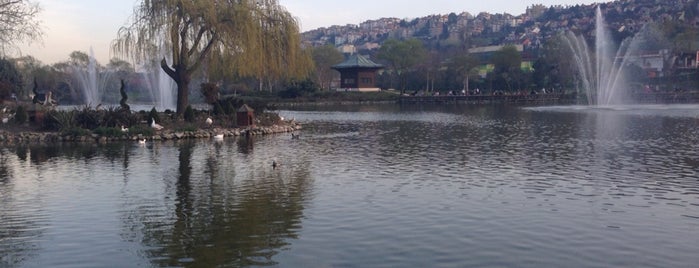 Bahçeşehir Park Gölet is one of Istanbul.