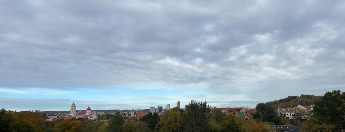 Subačiaus apžvalgos aikštelė | Subačiaus Viewpoint is one of Вильнюс.