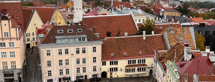Town Hall tower is one of Tallinn.