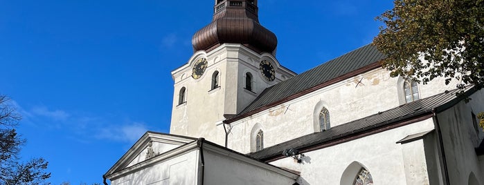Tallinna Toomkirik is one of Ванналин.