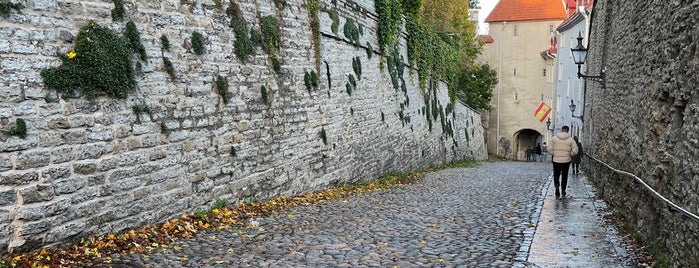 Улица Пикк-Ялг is one of Best of Tallinn, Estonia.