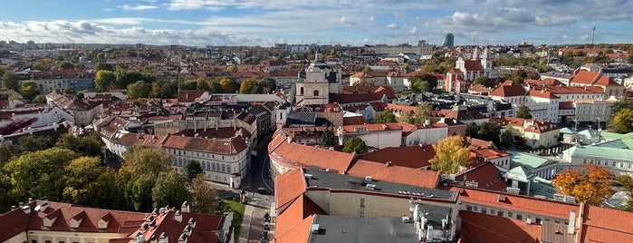 City panorama from the highest building of Vilnius old town is one of Вильнюс.