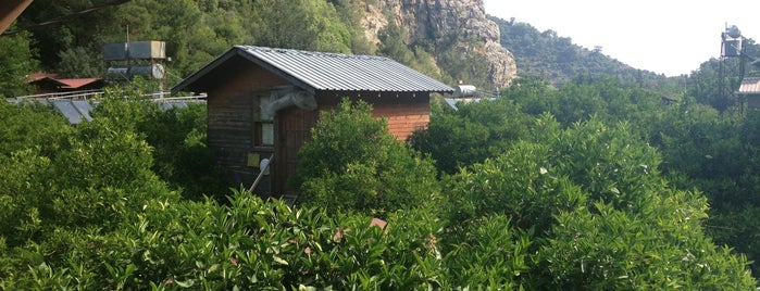 Türkmen Tree Houses is one of สถานที่ที่บันทึกไว้ของ Mesut.