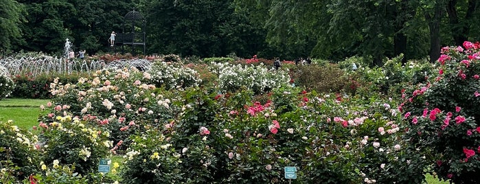 Whetstone Park of Roses is one of Columbus.