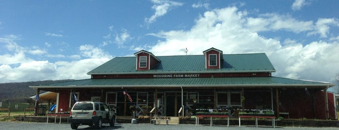 Woodbine Farm Market is one of Nashville to NYC.