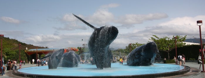 National Museum of Marine Biology & Aquarium is one of 國境之南｜South of the Border.