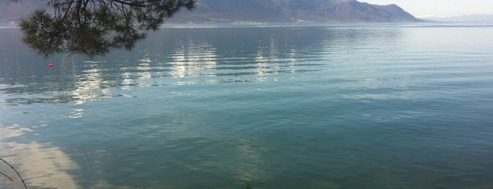 Promenade de Montreux is one of X.