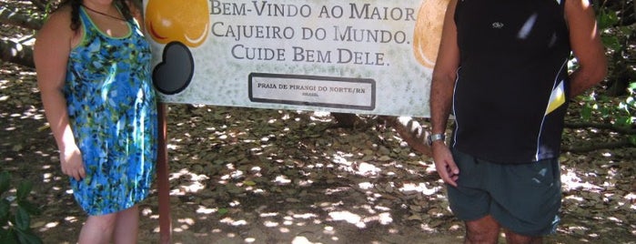 Cajueiro de Pirangi is one of viagem.