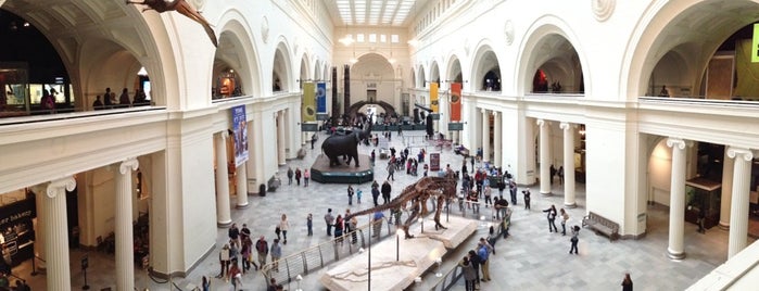 The Field Museum is one of ORD.