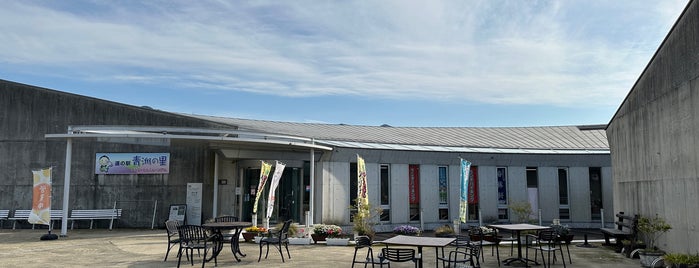 道の駅 青洲の里 is one of 道の駅.