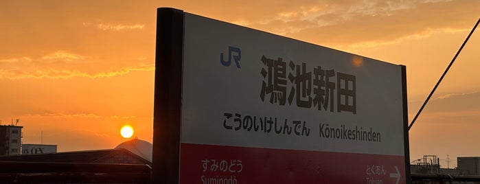 Kōnoikeshinden Station is one of 何コレ11.