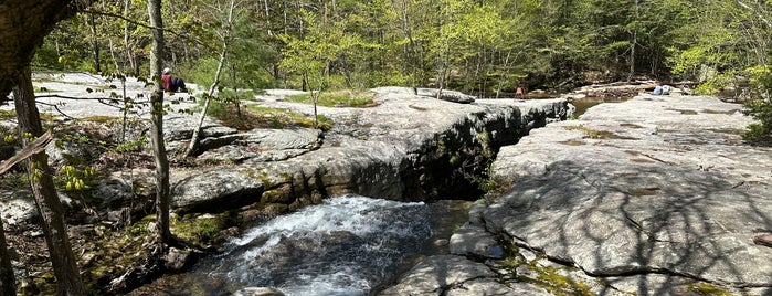 Mohonk Preserve is one of Hiking.