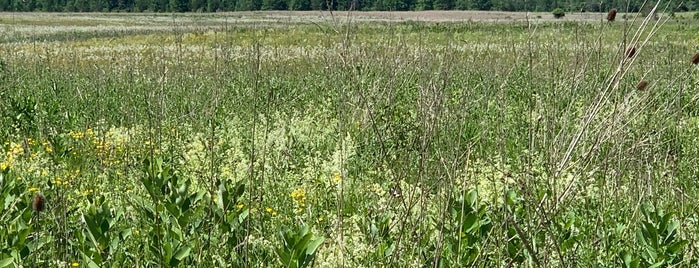 Shawangunk Grasslands NWR is one of 🚗 NYC Day Trips.