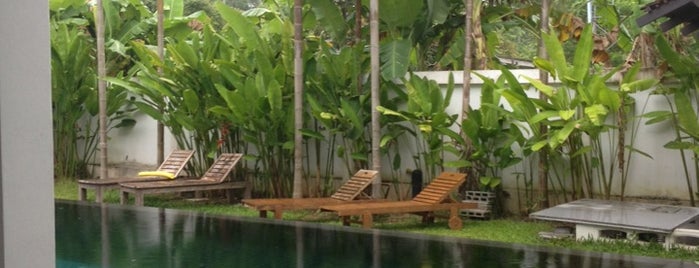P-Tree Phuket Hotel is one of ที่พัก โรงแรม รีสอร์ท.