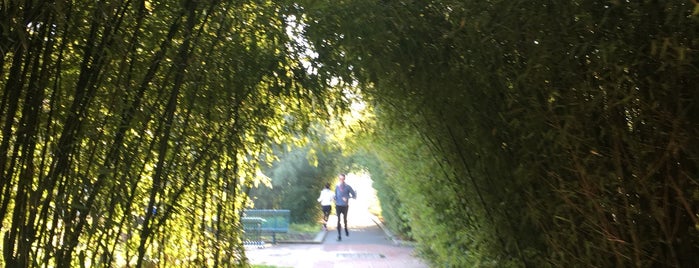 Promenade plantée – La Coulée Verte is one of Posti che sono piaciuti a Antonella.