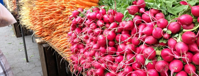Union Square Greenmarket is one of New York City Survival Guide.
