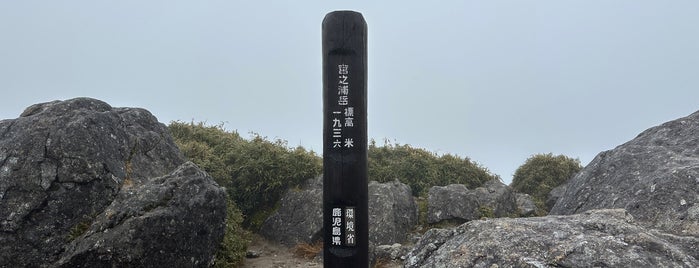 Mt. Miyanoura-dake is one of 日本の🗻ちゃん(⌒▽⌒).