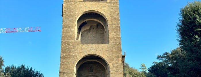 Torre San Niccolò is one of Tempat yang Disukai Анна.