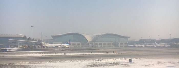 First Class Lounge is one of Ladybug 님이 좋아한 장소.