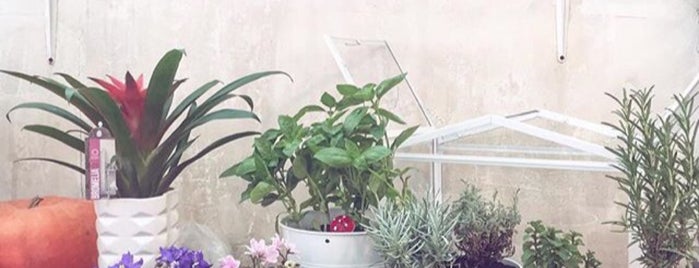 Biloba Greenhouse | گلخانه بیلوبا is one of اکباتان.
