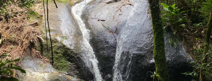 Parque Estadual da Cantareira - Núcleo Engordador is one of Lazer.