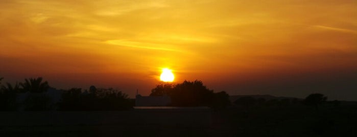 Al Madam Desert بر المدام is one of Alya'nın Beğendiği Mekanlar.