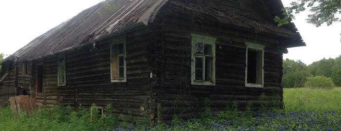 Поддубье is one of Усадьбы Новгородской области.