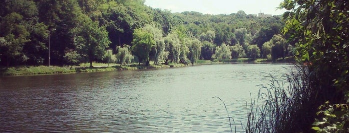 Голосіївський парк ім. Максима Рильського is one of Ukraine. Kyiv.