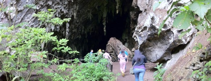 Cueva del Guacharo (Monumento Natural Alejandro Humboldt) is one of Monumentos Naturales de Venezuela.