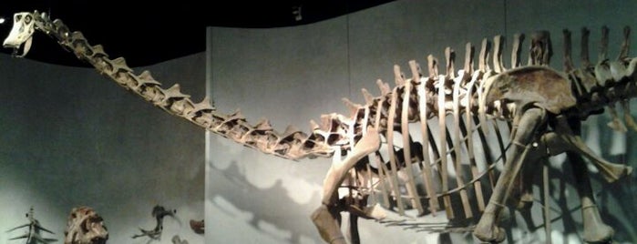 Denver Museum of Nature and Science is one of Favorite Places.