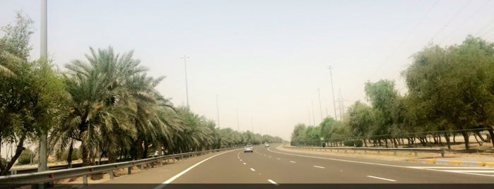 Al-Saad Desert (Al-Ain) is one of Abu Dhabi to do‘s.