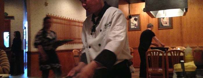 Hibachi Japanese Steak House is one of Places I Want to Go.