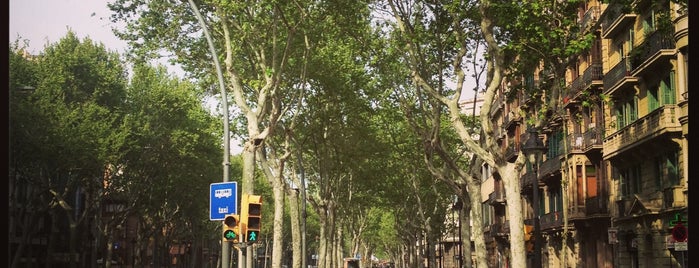 Gran Via de les Corts Catalanes is one of Barcelona must see's.