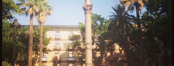 Plaça Duc de Medinacelli is one of Barcelona.