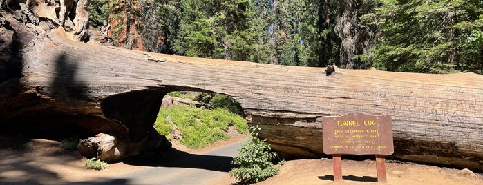 Tunnel Log is one of Sequoia National Park.