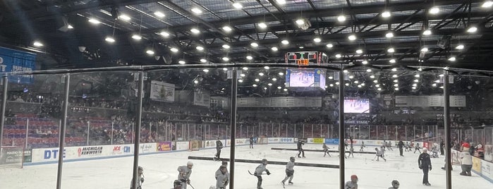 LC Walker Arena is one of Hockey.