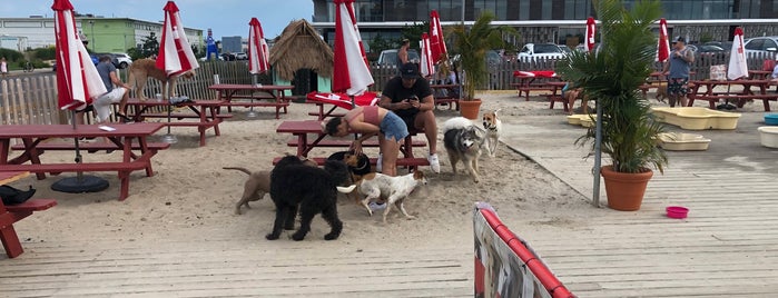 Yappy Hour @ Wonderbar is one of Down by the Shore.